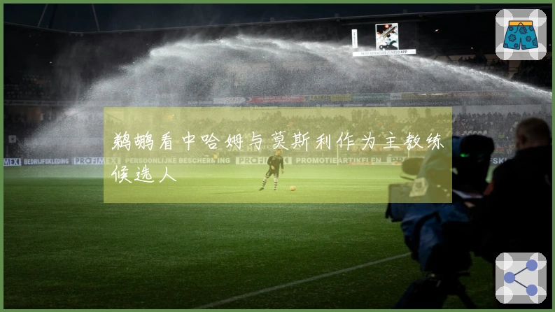 鹈鹕看中哈姆与莫斯利作为主教练候选人