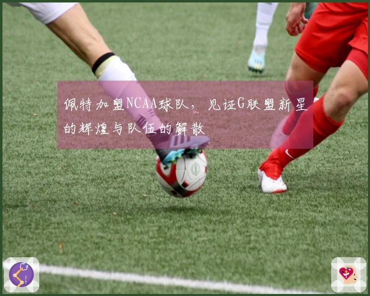 佩特加盟NCAA球队，见证G联盟新星的辉煌与队伍的解散