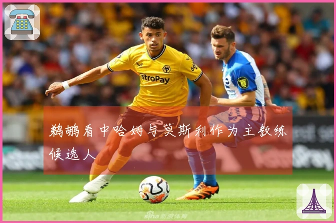 鹈鹕看中哈姆与莫斯利作为主教练候选人