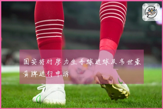 国安将对廖力生手球进球及韦世豪黄牌进行申诉